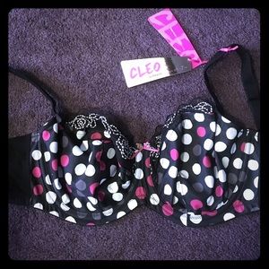 Brand new with tags panache Cleo bra in 28HH.
