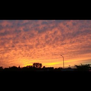 Meet your Posher, Briana