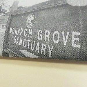 Meet your Posher, Alonso