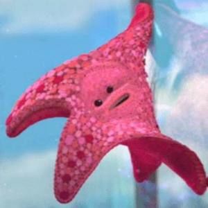 Meet your Posher, Ann