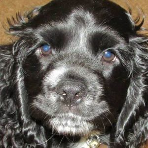 Meet your Posher, Jacki