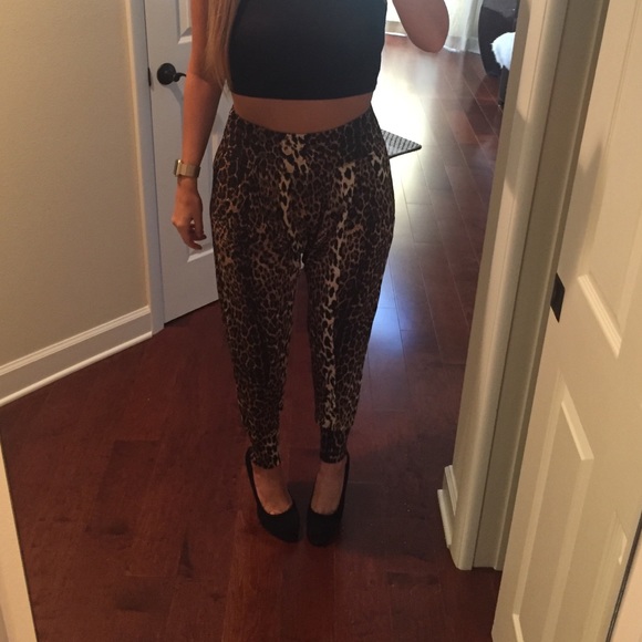 Leopard harem pants