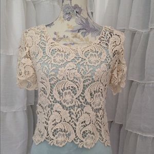 Lace Short Sleeved Top