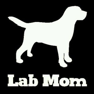 Meet your Posher, Misty