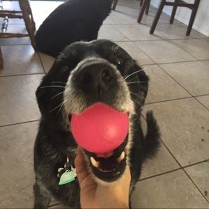 Meet your Posher, Lynn