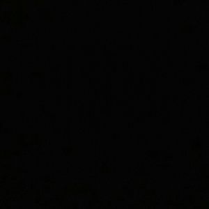 Meet your Posher, Aisha