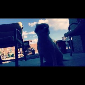 Meet your Posher, Taylor