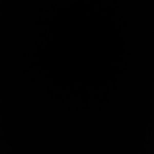 Meet your Posher, Casandra