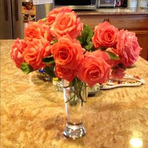 Meet your Posher, Surekha