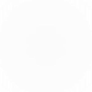 Meet your Posher, Darius