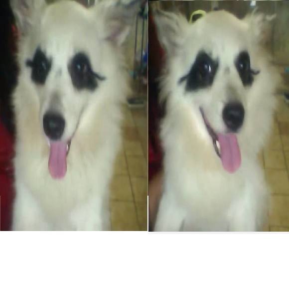 Meet your Posher, Cara