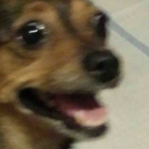 Meet your Posher, Georgina