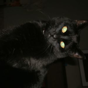 Meet your Posher, Karen