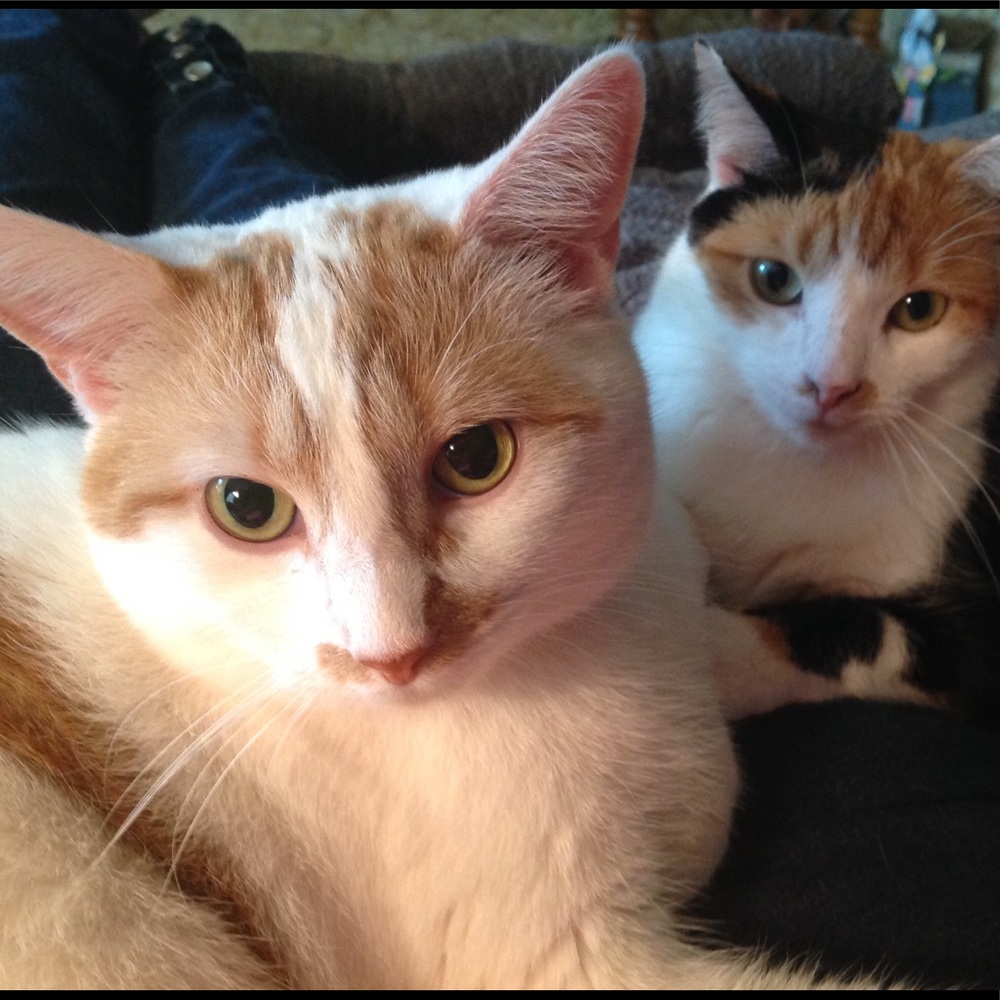 Meet your Posher, Ruth Ann