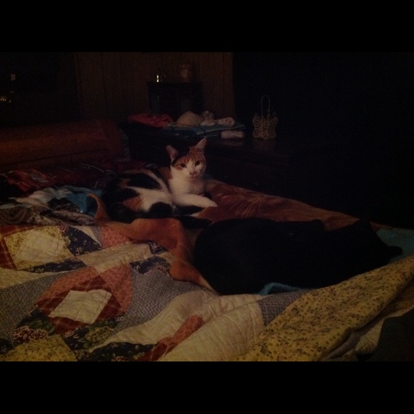 Meet your Posher, Ruth Ann - Picture 5 of 8