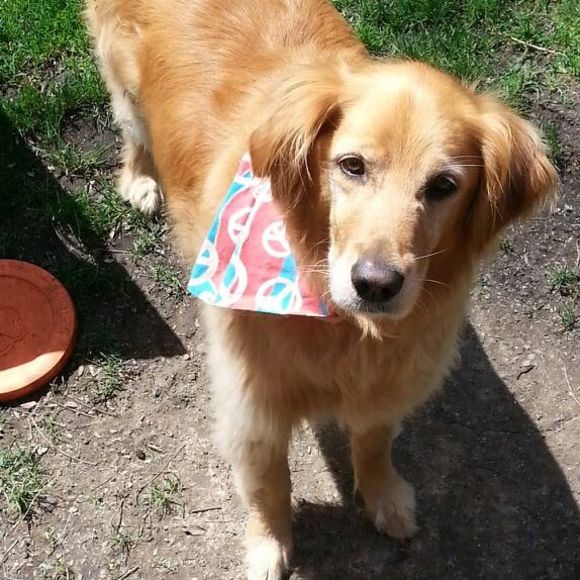 Meet your Posher, Sara - Picture 1 of 1