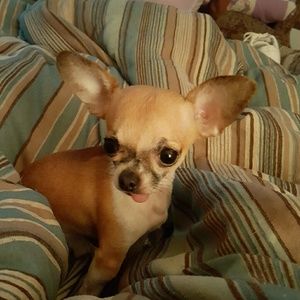 Meet your Posher, Jay