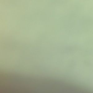 Meet your Posher, Danika