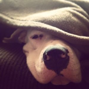 Meet your Posher, Deniz