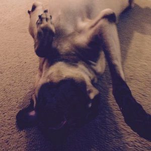 Meet your Posher, Katie