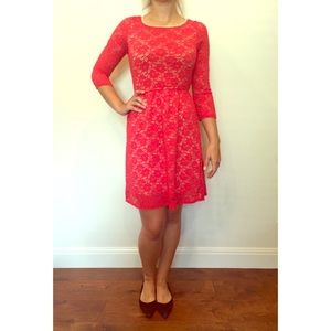 Knit Lace Aline Dress