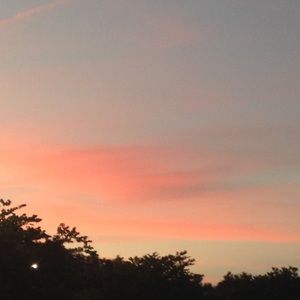 Meet your Posher, Ella