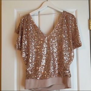 Express Sequin Silky Top