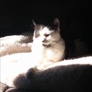 Meet your Posher, Bobbie