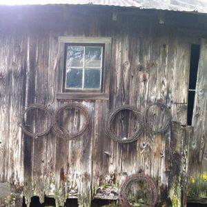 Meet your Posher, Bruce