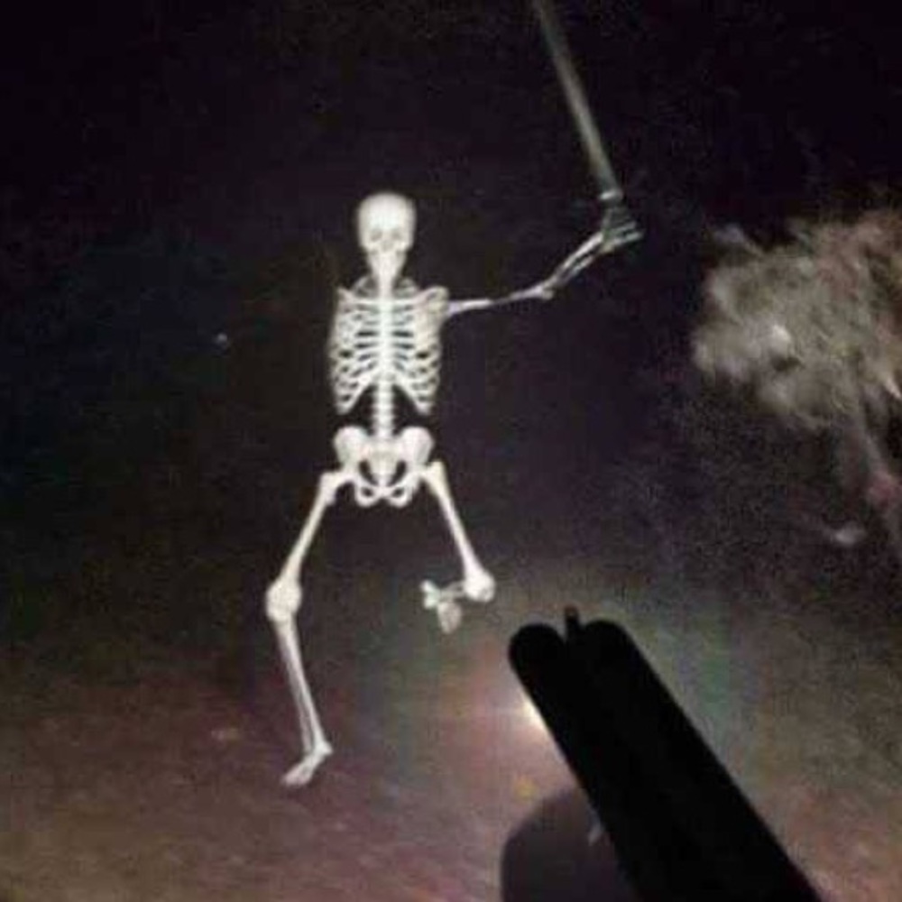 Meet your Posher, Kai