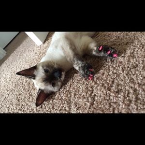 Meet your Posher, Keiara