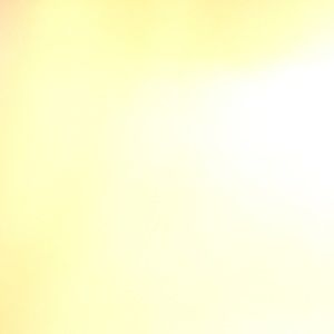 Meet your Posher, Orlando