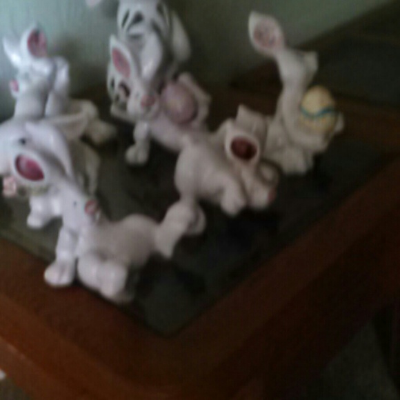 Bunny Rabbits - Picture 2 of 4