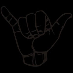 Meet your Posher, Kadima