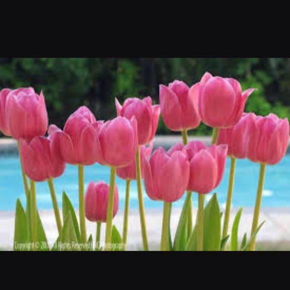 Meet your Posher, Janet - Picture 1 of 1