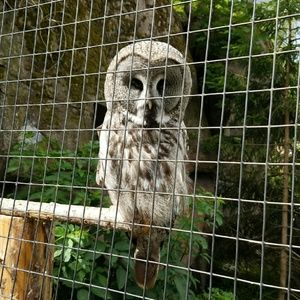 Meet your Posher, Kristy