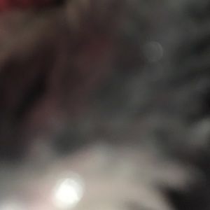 Meet your Posher, Adam