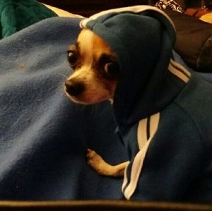 Meet your Posher, Jb