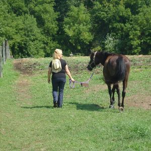 Meet your Posher, Susan