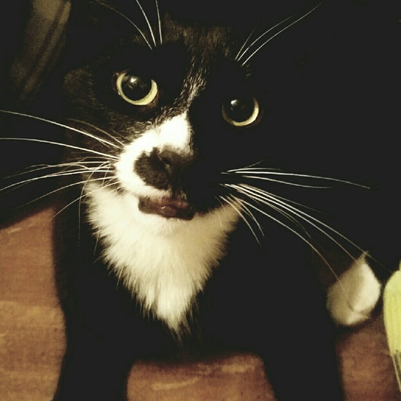 Meet your Posher, Crystal