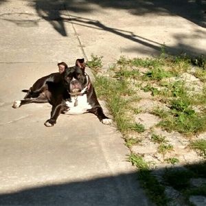 Meet your Posher, Becky