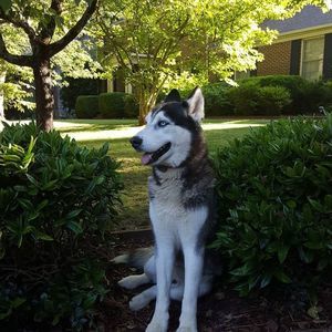 Meet your Posher, Sherri