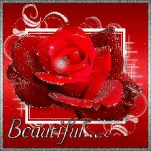 Meet your Posher, Terri