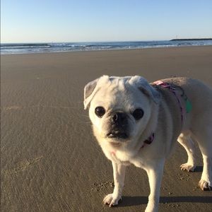 Meet your Posher, Jana