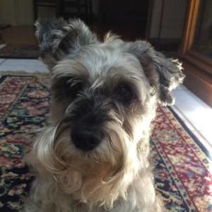 Meet your Posher, Cathy