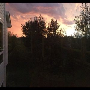 Meet your Posher, Cassidy