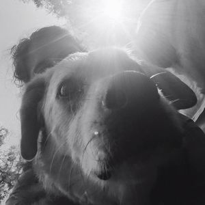 Meet your Posher, Kirsten