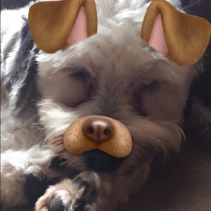 Meet your Posher, Angela