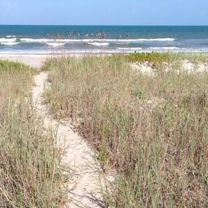 Meet your Posher, Kendra