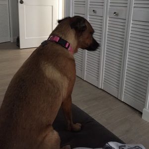 Meet your Posher, Jim